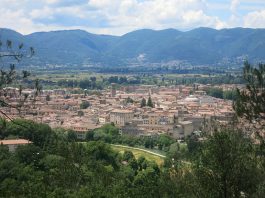 L’ASSOCIAZIONE NAZIONALE POLIZIA DI STATO CERCA VOLONTARI