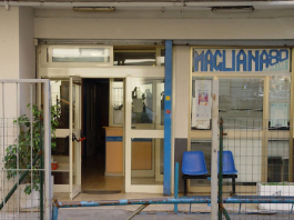 MAGLIANA 80 CERCA VOLONTARI PSICOLOGI PER COUNSELING