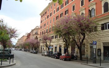 QUARANTENA SOLIDALE: COME FARE VOLONTARIATO A SAN LORENZO