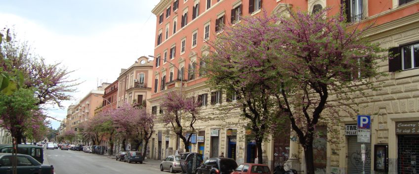 QUARANTENA SOLIDALE: COME FARE VOLONTARIATO A SAN LORENZO