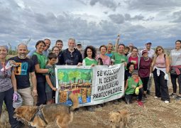 Alberi in periferia cerca volontari a Roma per piantare alberi e partecipazione