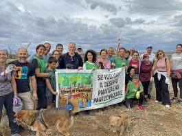 Alberi in periferia cerca volontari a Roma per piantare alberi e partecipazione