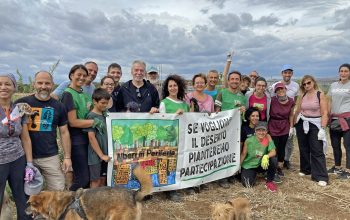 Alberi in periferia cerca volontari a Roma per piantare alberi e partecipazione